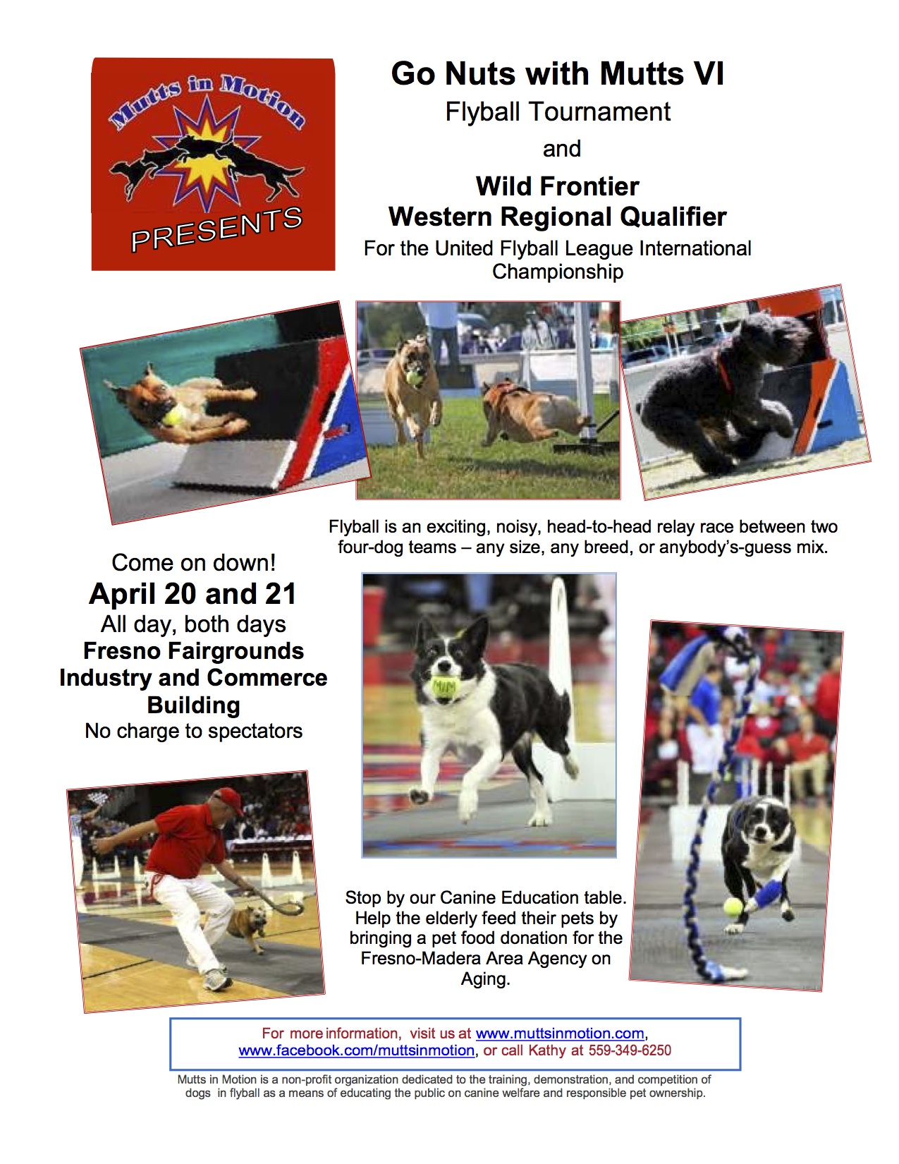 Go Nuts with Mutts Tournament Mutts In Motion Flyball