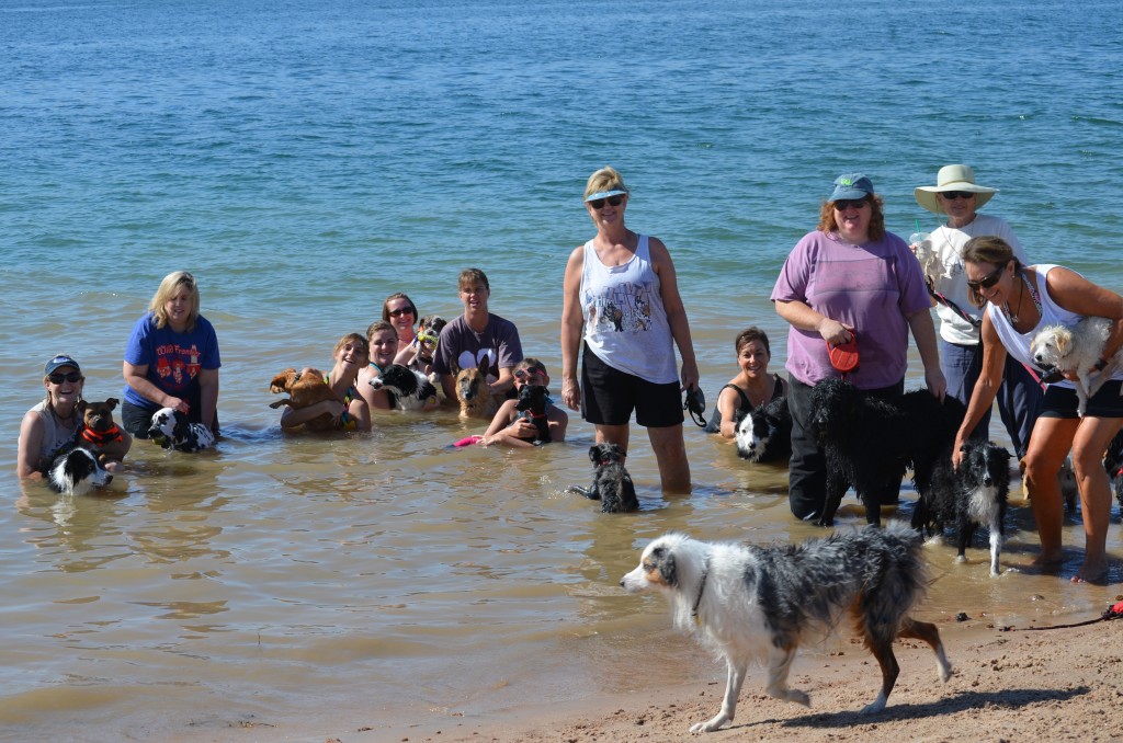 Come Sit Stay Race…What to do before/after? Mutts In Motion Flyball