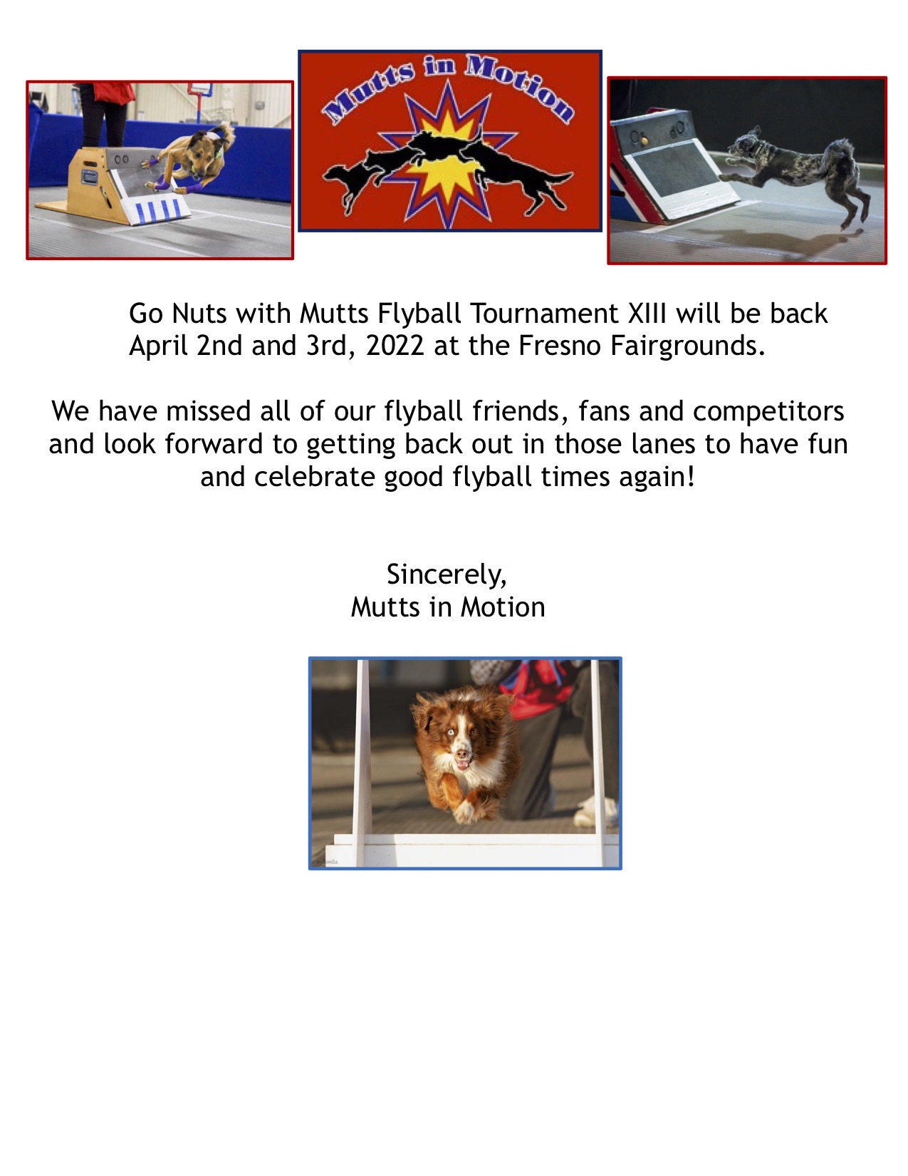 Mutts In Motion Flyball Responsible Pet Ownership and Canine