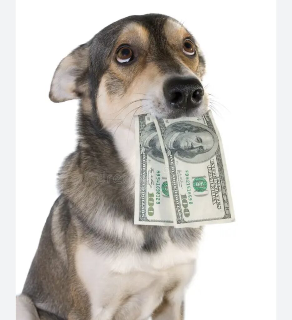 Forms & Payment Info Mutts In Motion Flyball