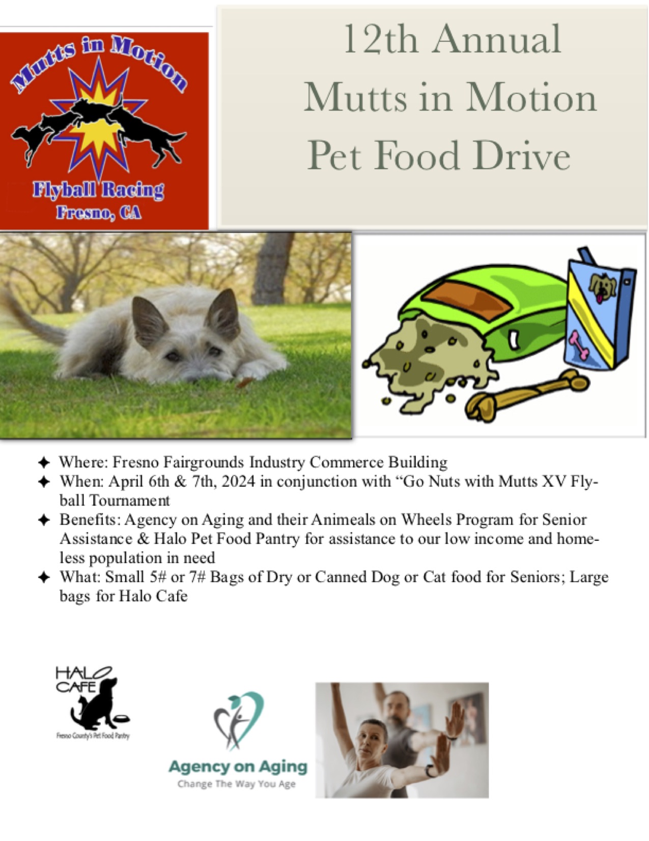 Mutts in Motion Annual Pet Food Drive Information Mutts In Motion Flyball