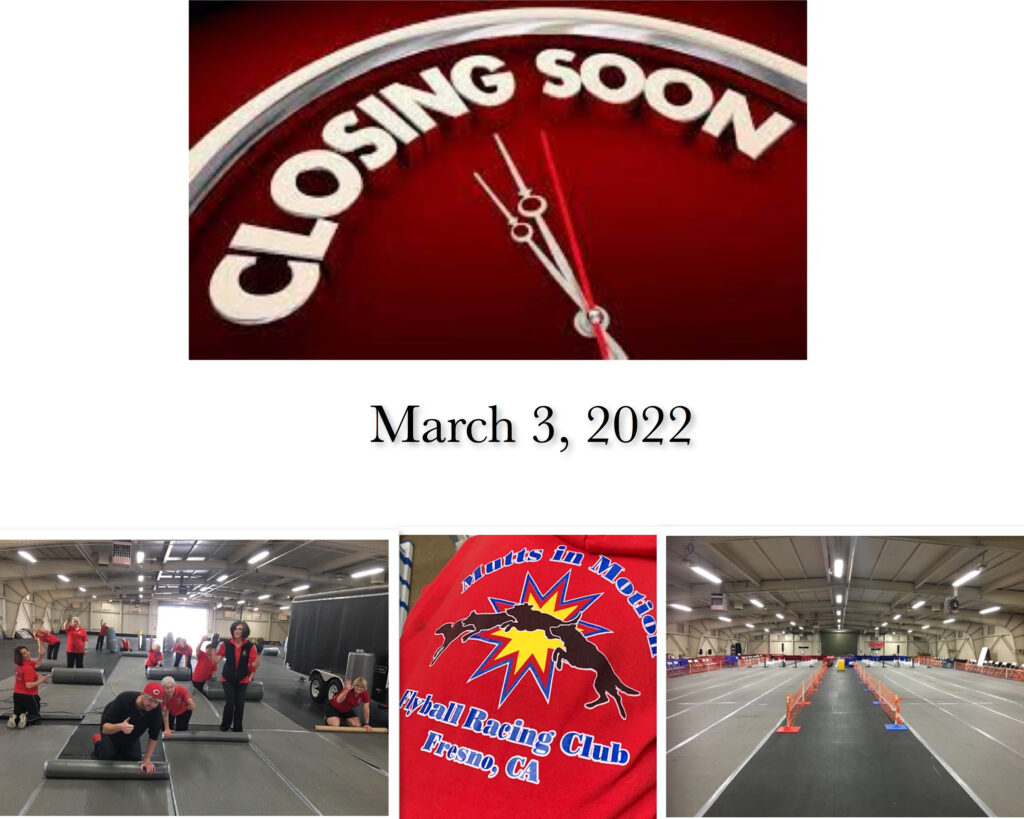 Mutts In Motion Flyball Responsible Pet Ownership and Canine