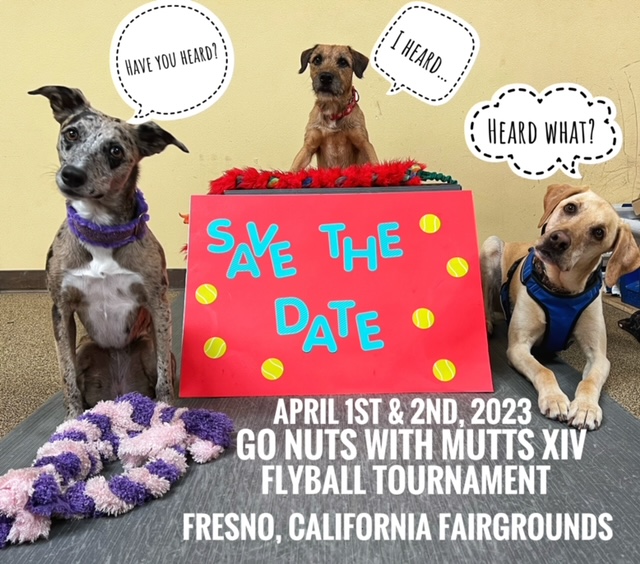 Mutts In Motion Flyball Responsible Pet Ownership and Canine